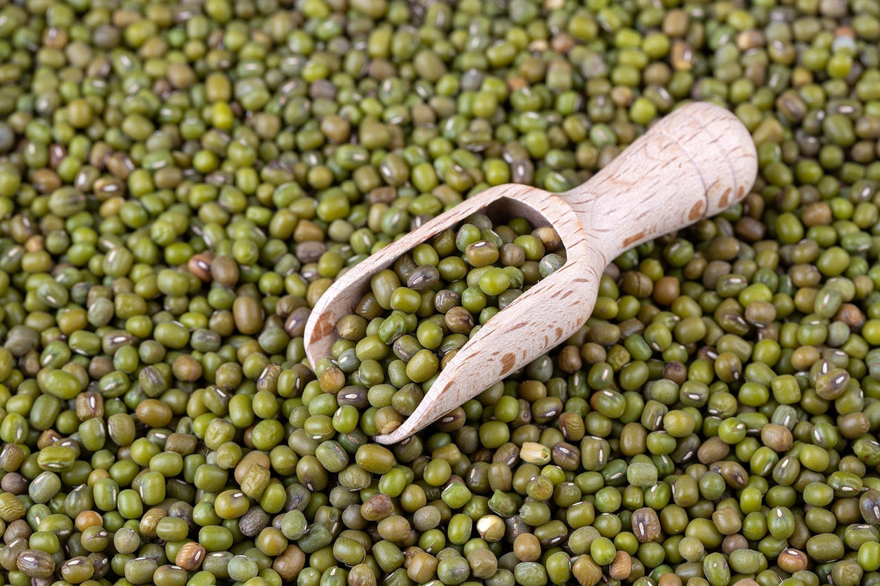 green mung wholesale