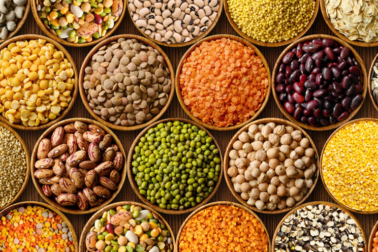 Unlocking the Legume Paradise : Lentils and Beans Galore