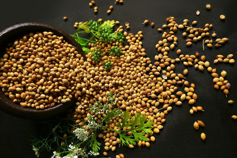 Underrated Yet Essential Spice: Why Coriander Seeds Deserve the Spotlight